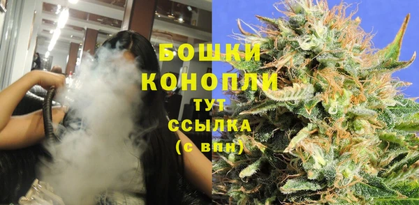 молекула духа Пестово