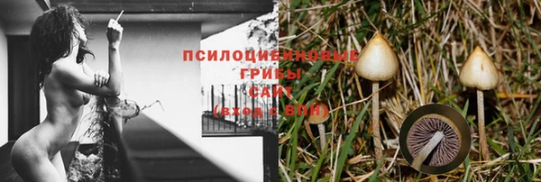 ПСИЛОЦИБИНОВЫЕ ГРИБЫ Алзамай