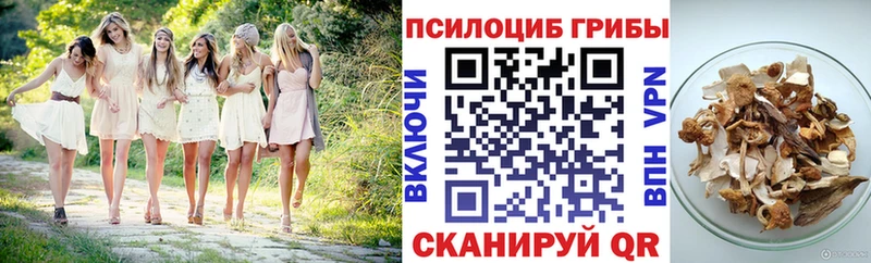 Псилоцибиновые грибы Cubensis  Тара 